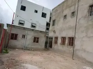 Professional Plumber