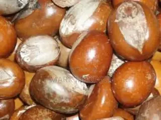 We Are Accepting Orders for the New Season Shea Nuts.