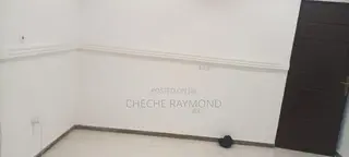 Andru ( Wall Smoothing )