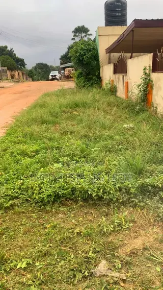 Lawn Care Services