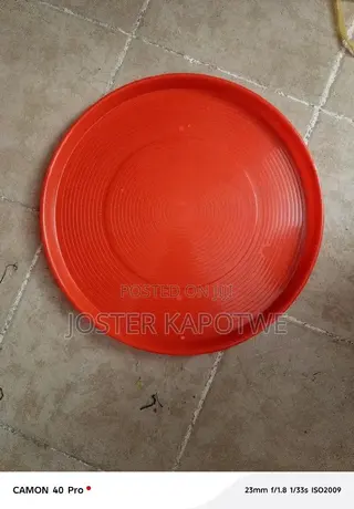 Chicks Trays
