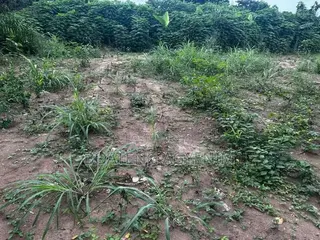 Half Plot for Sale at Asonomaso Nkwanta SAFO