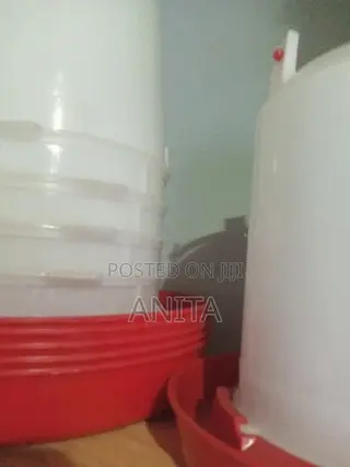 Chicken Drinkers