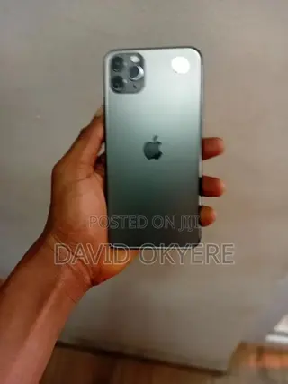 Apple iPhone 11 Pro Max 256 GB Gray