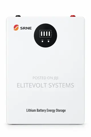 SRNE 24V 100Ah LiFePO4 Battery Module