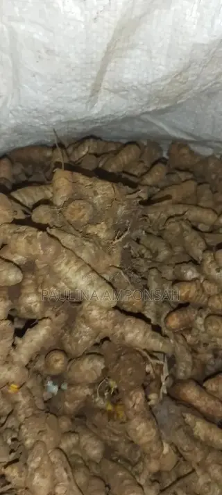 Tumeric for Sale in Large Quantities