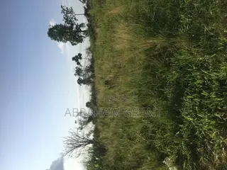Farm Land for Sale at Kumasi Afigyase Ntomkumso
