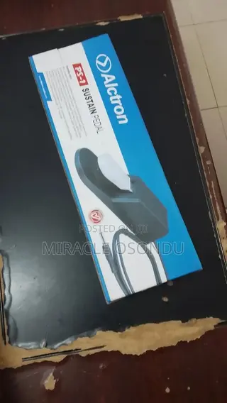 Alctron Sustain Pedal
