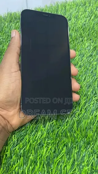 Apple iPhone 12 Pro Max 256 GB Black