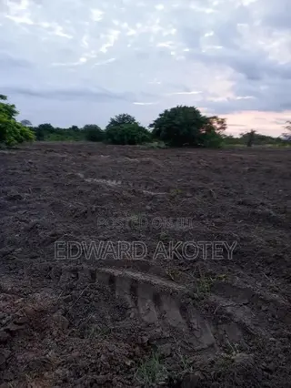 Fertile Farmland for Lease or Buy
