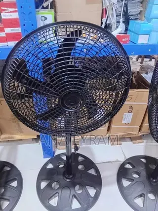 Standing Fan