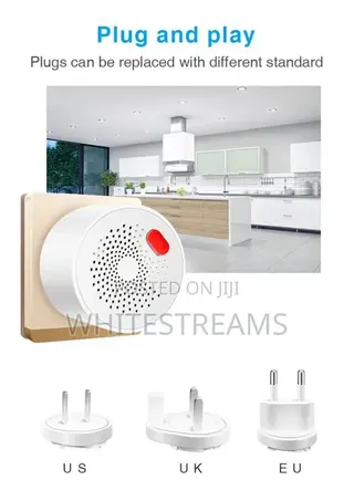 Smart Gas Leak Detector