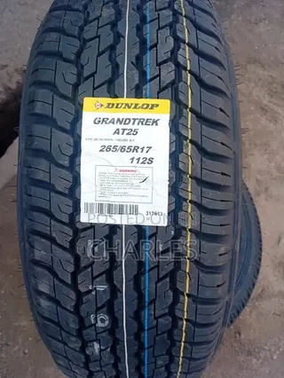 265/65r17 Dunlop Tyres