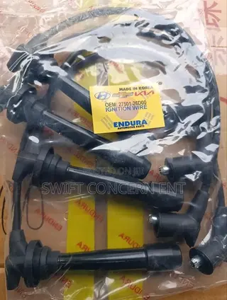 Ignition Plug Wires