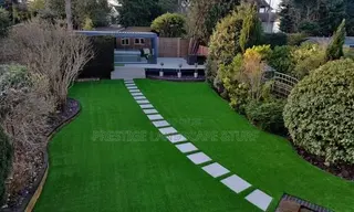 Green Grass Carpet