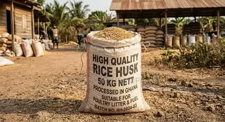 Rice Husks