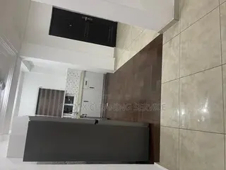 Cleaning at It Best