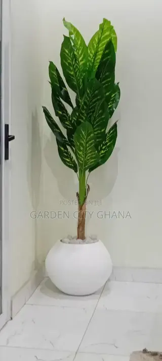 Flower Pots for Sale