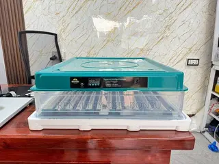 Egg Incubator