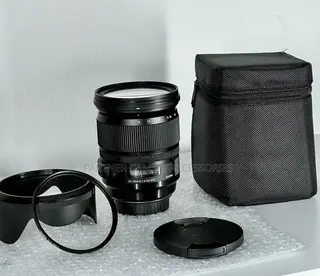Sigma 24-105mm F4 Dg Art Lens