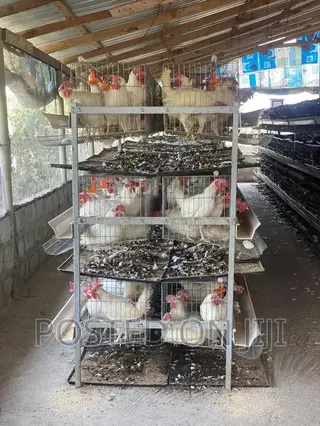 Imported Cages