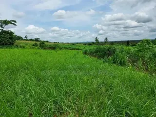 2 Plots of Litigation-Free, Strategically Located Land