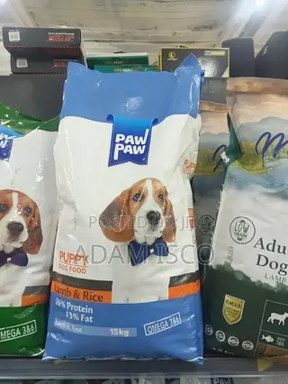 1-3 months Male Purebred Dog