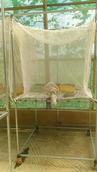 Black Soldier Fly Nets for Sale