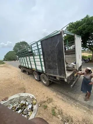 Oyster Shells(Contact for Exact Price)