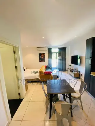 Furnished Studio Apartment in Cantonments for rent