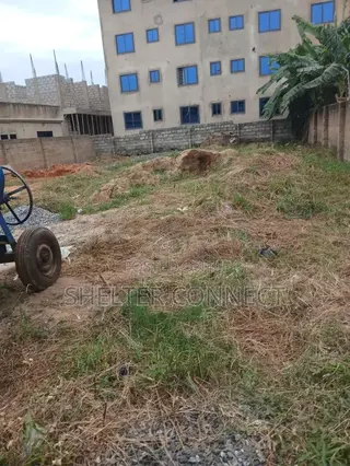Half Plot of Land
