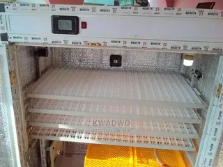 Egg Incubator
