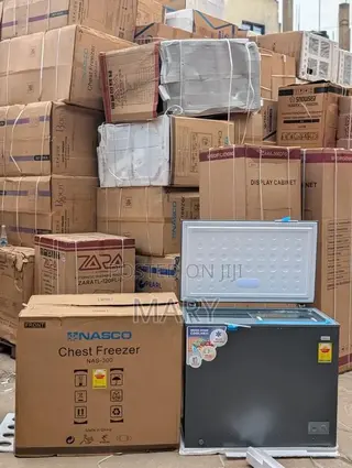 Nasco 251L Liters Freezer Nas-300