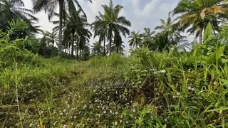 Super Affordable and Highly Accessible Lands at Appiadu