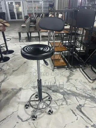 Modern Saloon Stool With Backrest Adjustable