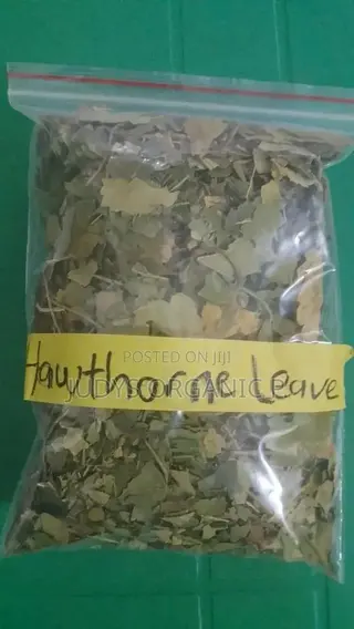 Hawthorne Leaf