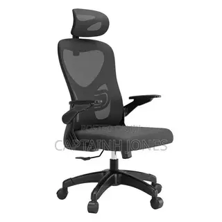 Ergonomic Chair