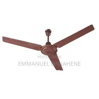 Ceiling Fans