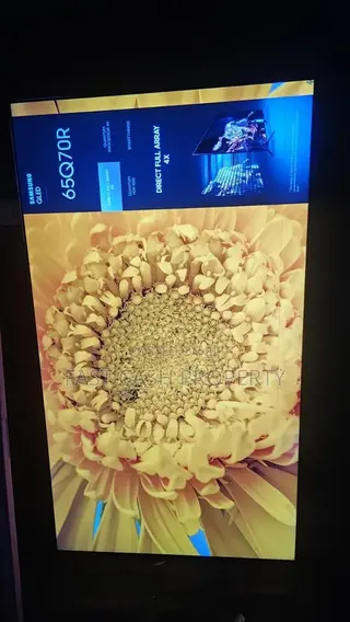 Samsung 65 Inches TV