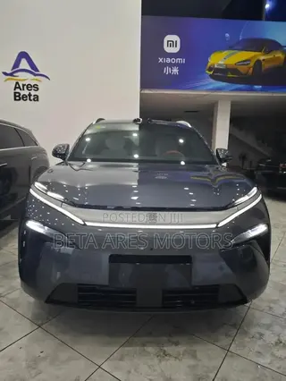 New BYD Tang DM-i 2025 Gray