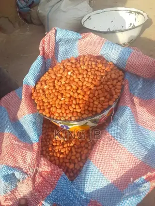 Fresh Groundnut for Sell