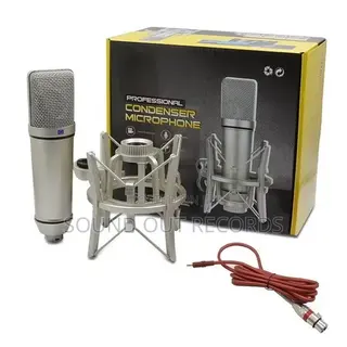 Microphone U87 Large Capsule Microphone