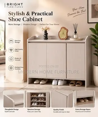 Modern Imported Shoe Cabinet