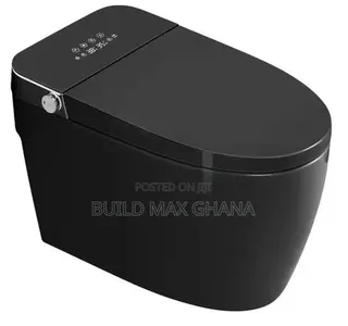 Electric Intelligent WC