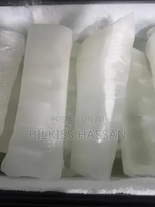 Long Lasting Ice Block