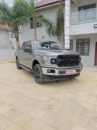 Ford F-150 2018 Gray