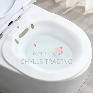 Bidet Toilet Wash