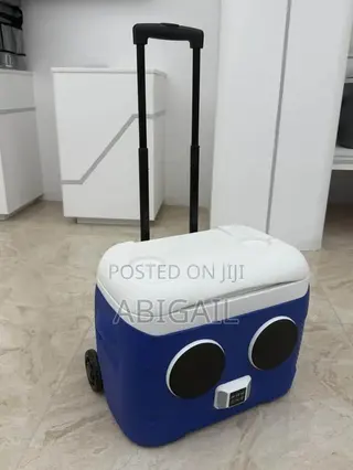 Imported Modernised Ice Chest With Music Speaker