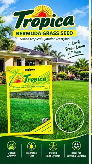 Carpet Grass Seeds (Bermuda)