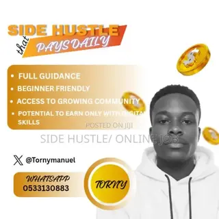 Side Hustle That Pays Daily – No Skills Required!”